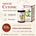 Diochi Cytonic 90 kapsułek – Maytenus ilicifolia, pozycja 10b i meridiany w systemie Diochi