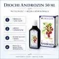 Diochi Androzin 50 ml – tribulus, żeń-szeń, meridiany i pozycja 9 Męska sfera hormonalna