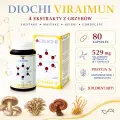 Diochi Viraimun 80 kapsułek – 4 ekstrakty grzybowe, skład 529 mg, pozycja 1c i meridian pasa