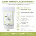 Diochi Achyrocline satureioides 80 g – macela, zastosowanie i przygotowanie herbatki