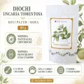 Diochi Uncaria tomentosa 80 g – koci pazur, zastosowanie i przygotowanie naparu