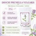 Diochi Prunella vulgaris 100 g – głowienka pospolita, zastosowanie i przygotowanie naparu