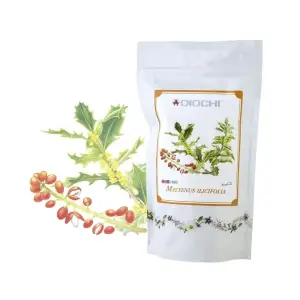 Diochi Maytenus Ilicifolia 150 g