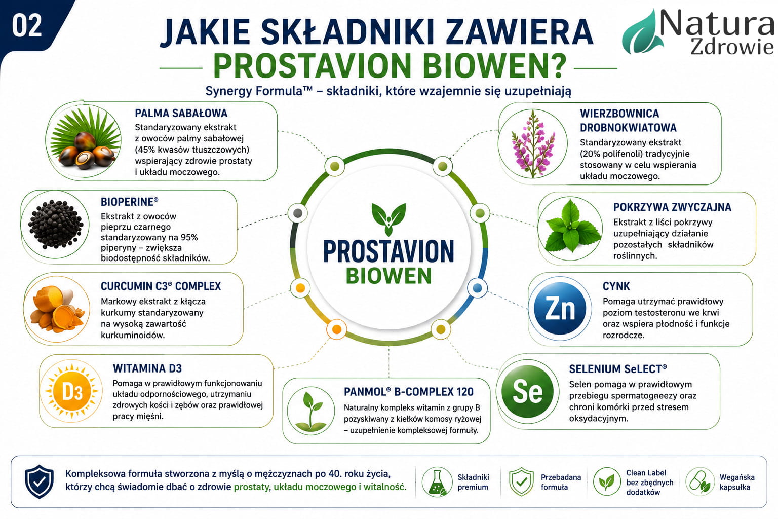 Infografika przedstawiająca składniki aktywne suplementu Prostavion Biowen – palma sabałowa, wierzbownica, pokrzywa, cynk, selen, witamina D3, Curcumin C3 Complex® i BioPerine®.
