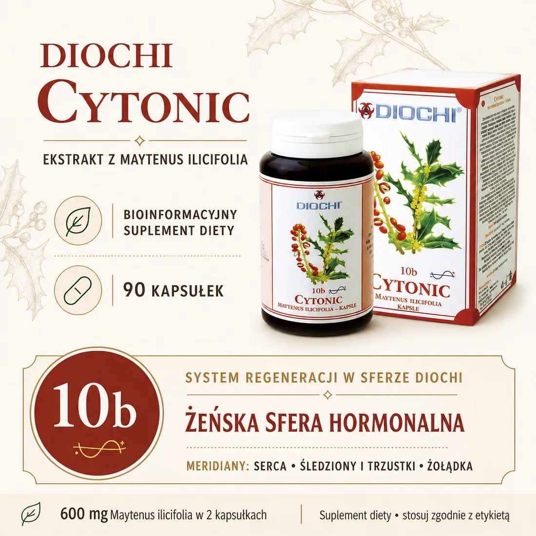Diochi Cytonic 90 kapsułek – Maytenus ilicifolia, pozycja 10b i meridiany w systemie Diochi