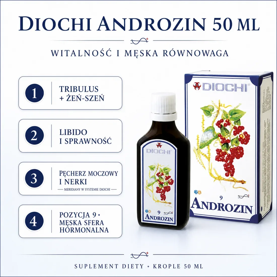 Diochi Androzin 50 ml – tribulus, żeń-szeń, meridiany i pozycja 9 Męska sfera hormonalna