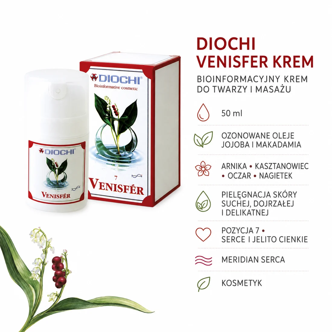 Diochi Venisfer Krem 50 ml – skład, pozycja 7, meridian serca i zastosowanie