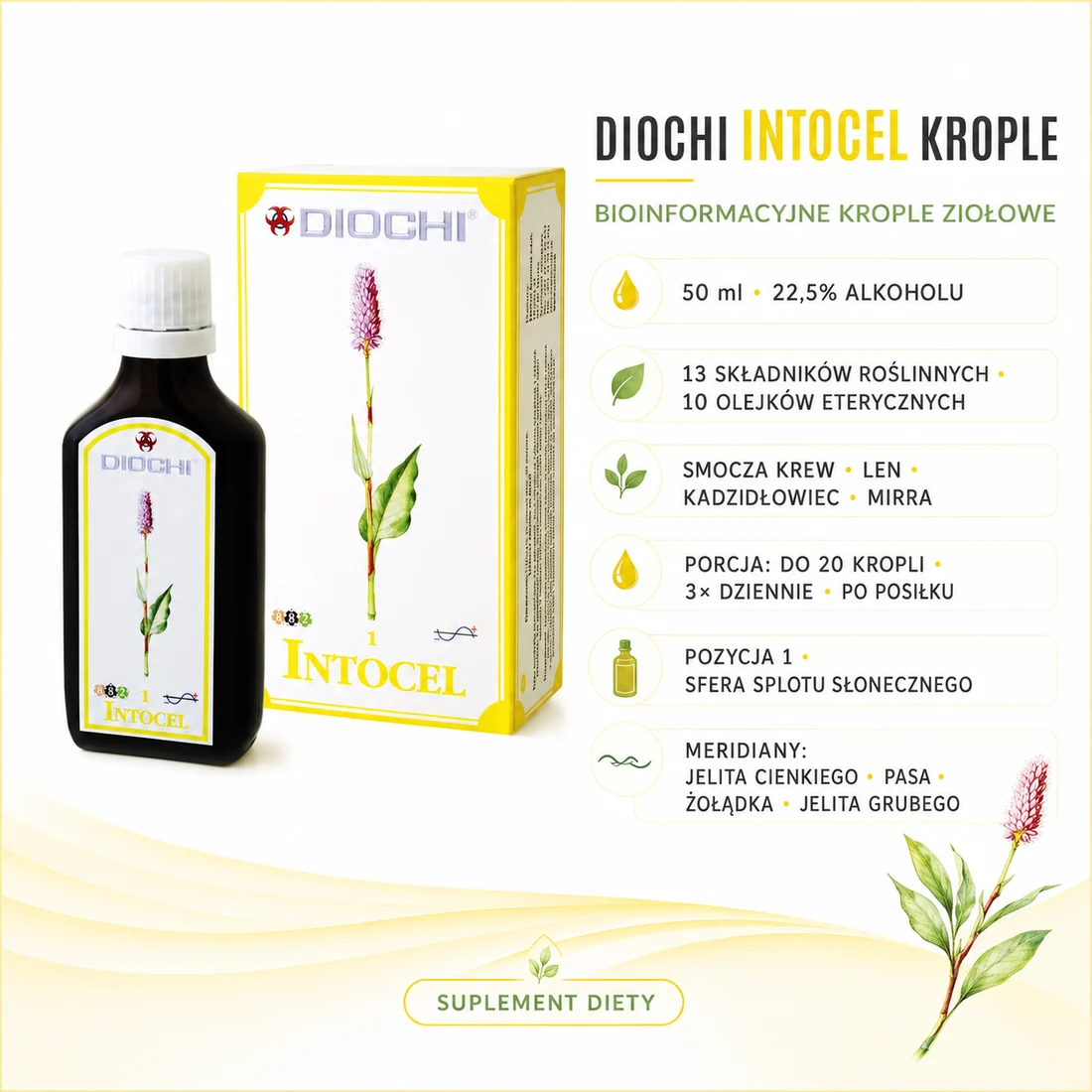 Diochi Intocel Krople 50 ml – 13 składników roślinnych, porcja, pozycja 1 i meridiany