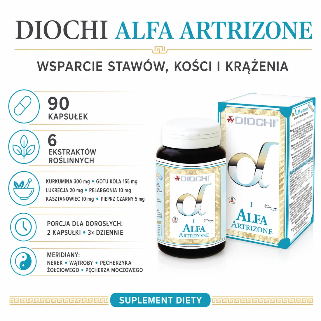 Diochi Alfa Artrizone 90 kapsułek – kurkumina, gotu kola, zastosowanie i dawkowanie
